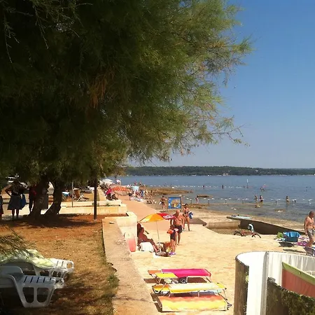 Sincic *