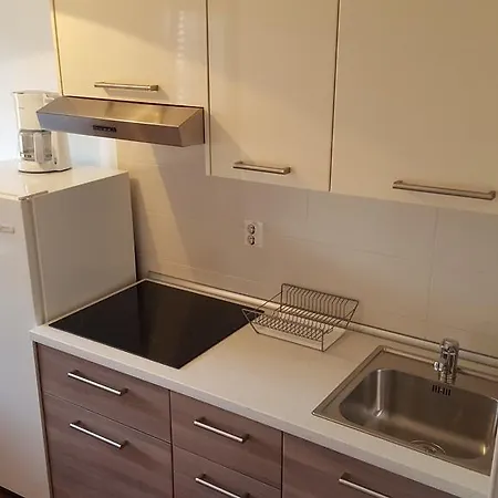 Apartment Sincic