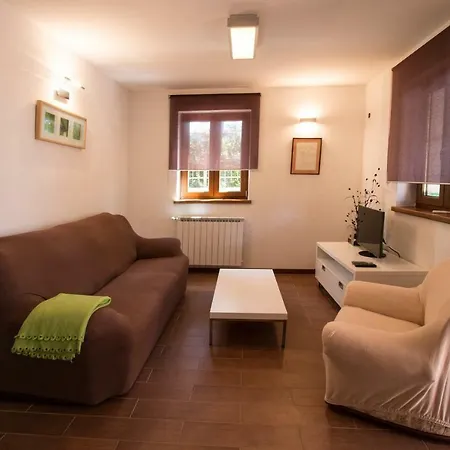 Apartment Sincic *