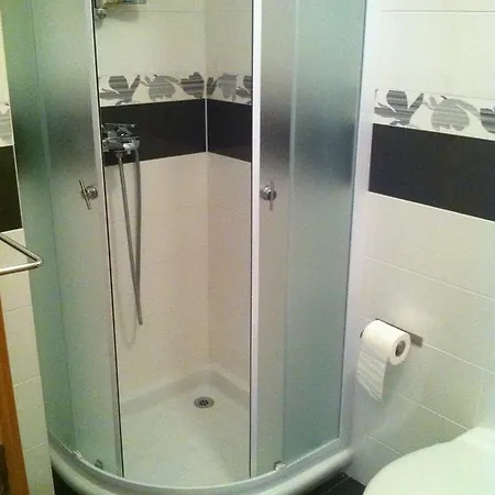 Apartament Sincic *